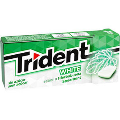 Picture of Past TRIDENT White Spearmint 14,5gr