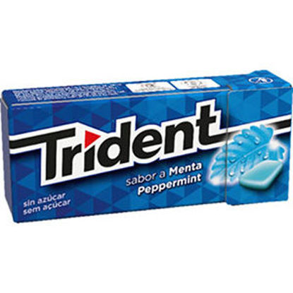 Picture of Past TRIDENT Fresh Peppermint 14,5gr
