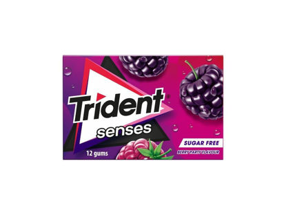 Picture of Past TRIDENT Senses Berry 23gr